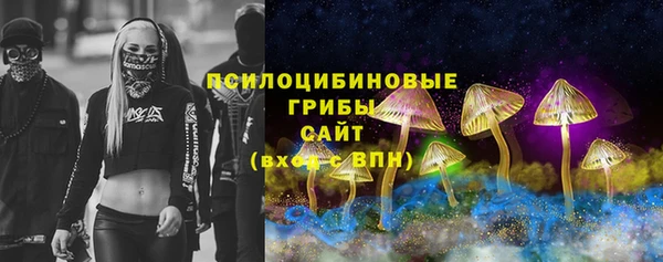 крисы Аркадак