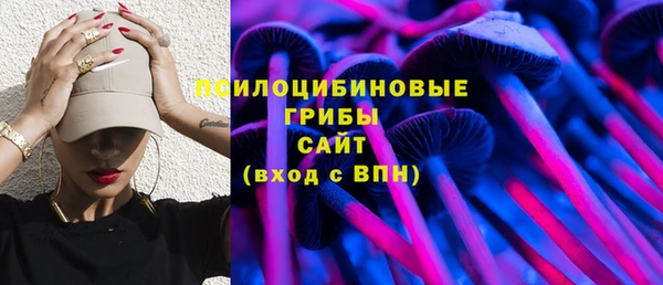 винт Арсеньев